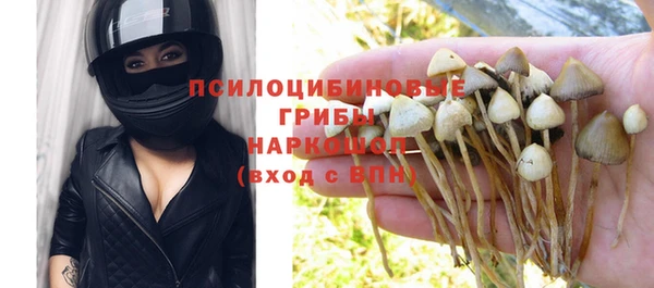 шишки Алзамай