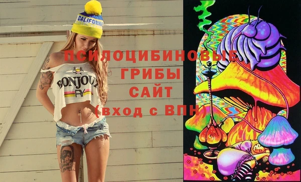 прущие грибы Новокубанск