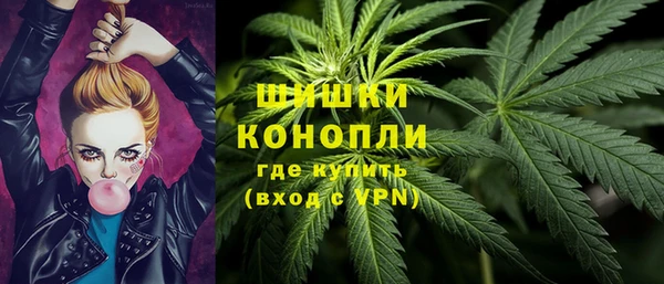 шишки Алзамай