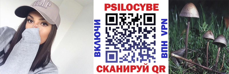 Псилоцибиновые грибы Magic Shrooms  МЕГА ссылки  Киреевск  цены  