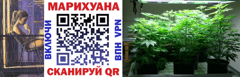 Каннабис Bruce Banner где найти Киреевск